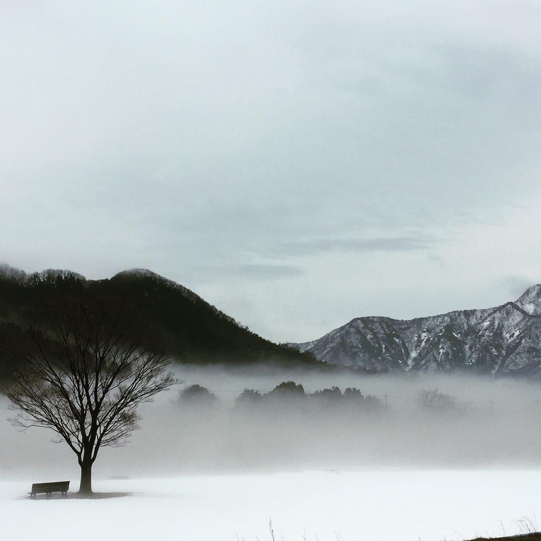 いつもと違う、日野川から村国山、日野山。霧？