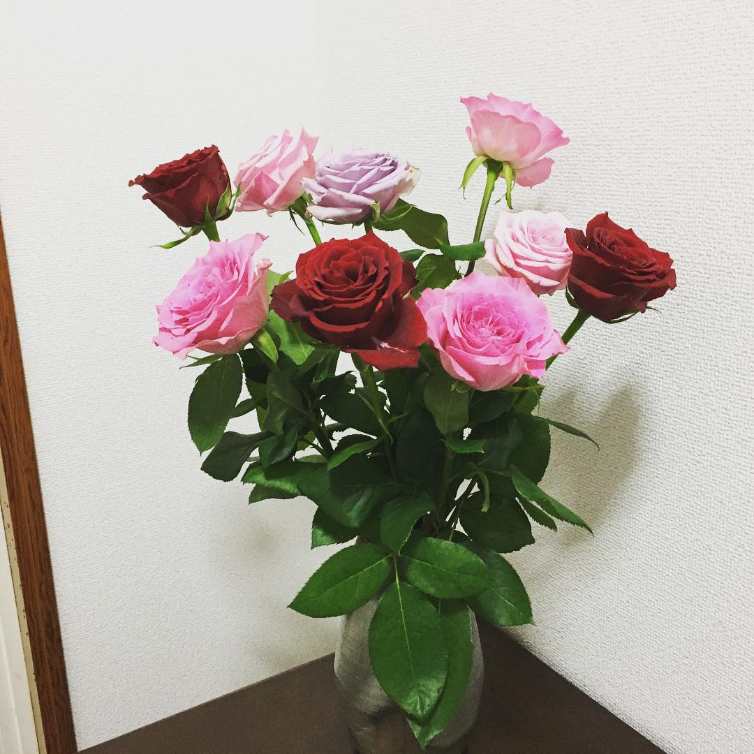 やっぱり薔薇は薔薇だなぁ。