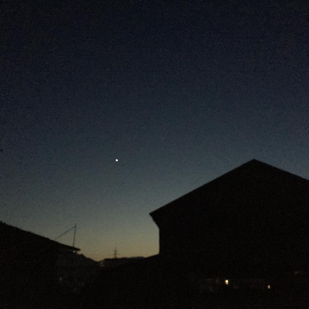 夜散歩。お星さま。