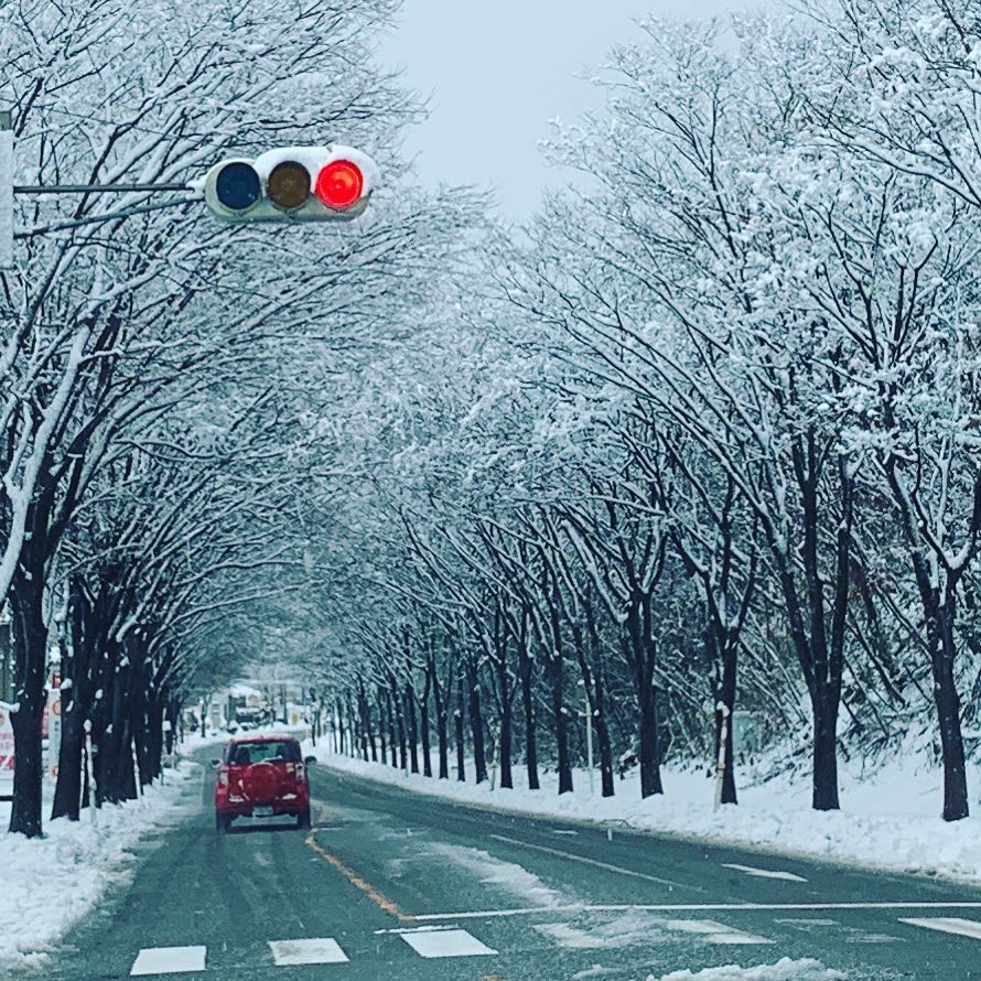 あんまり降りませんように。‬寒いので、午後は在宅作業。#雪