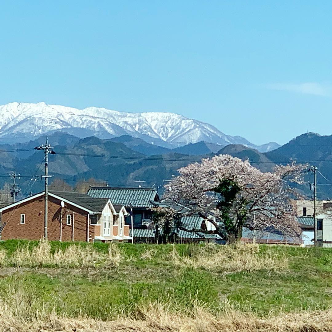 区費集めはそろそろ疲れ果て…車もあるし、灯りついてるのに、出てきてくれない。せめて連絡ください。写真は関係なし。良いお天気。