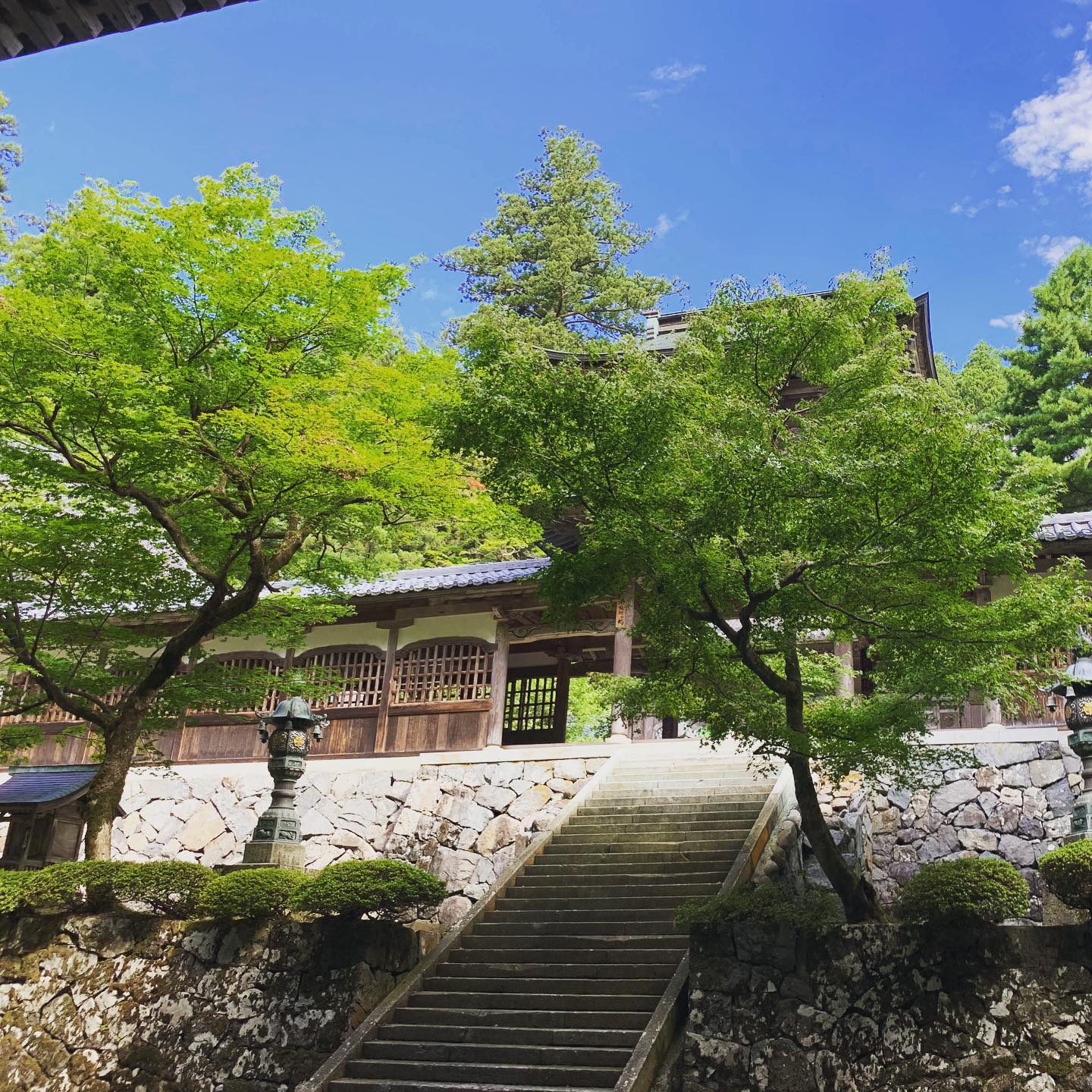 朝一に。意外に涼しい永平寺。