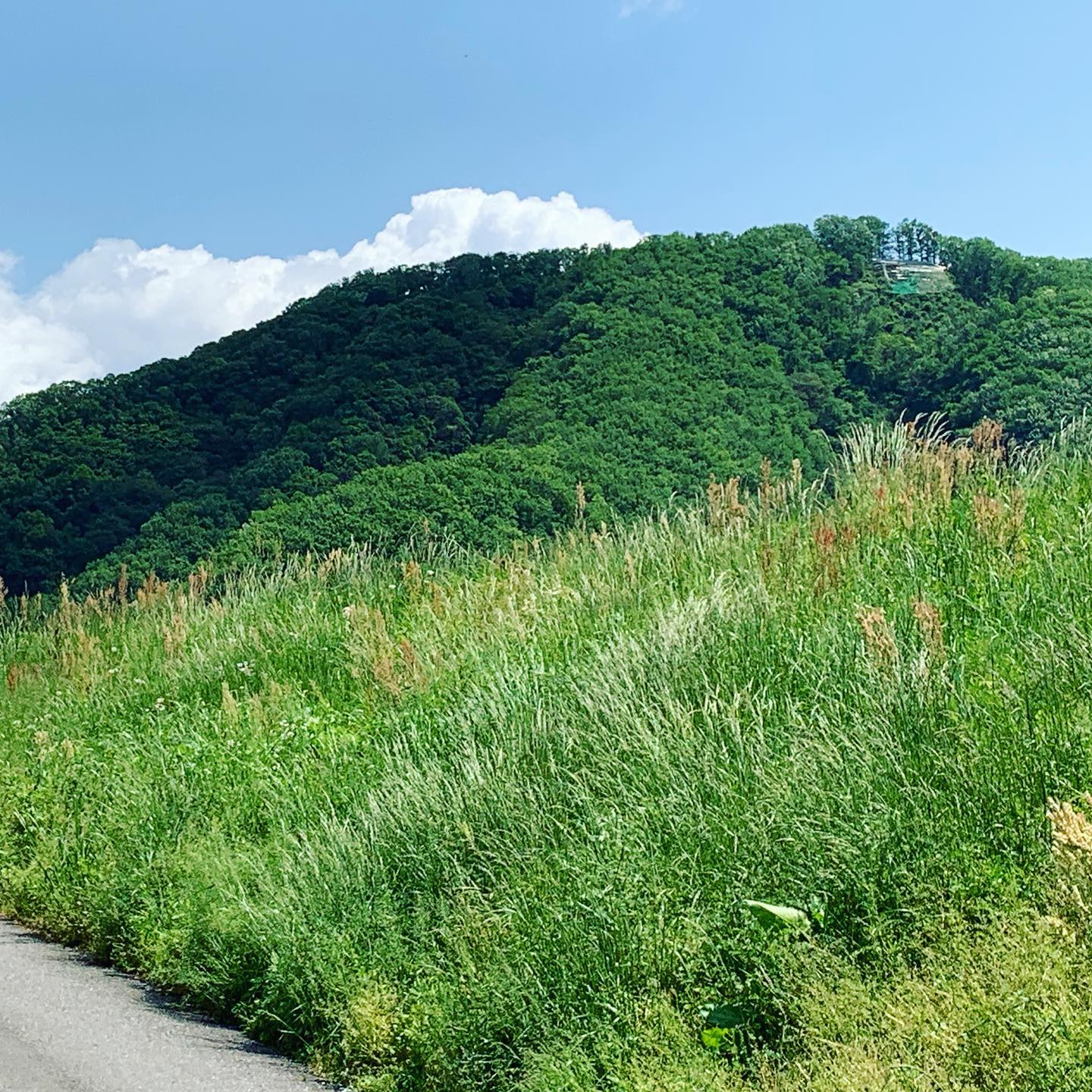 ポストまで散歩。パラグライダー基地がよく見える。絶対飛ばない派。