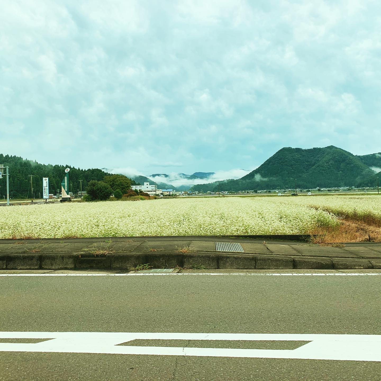 朝から河和田で打ち合わせ3時間。相変わらず、のどかな風景。まだまだのろのろ歩行だけど、ようやく靴がはけるようになりました。