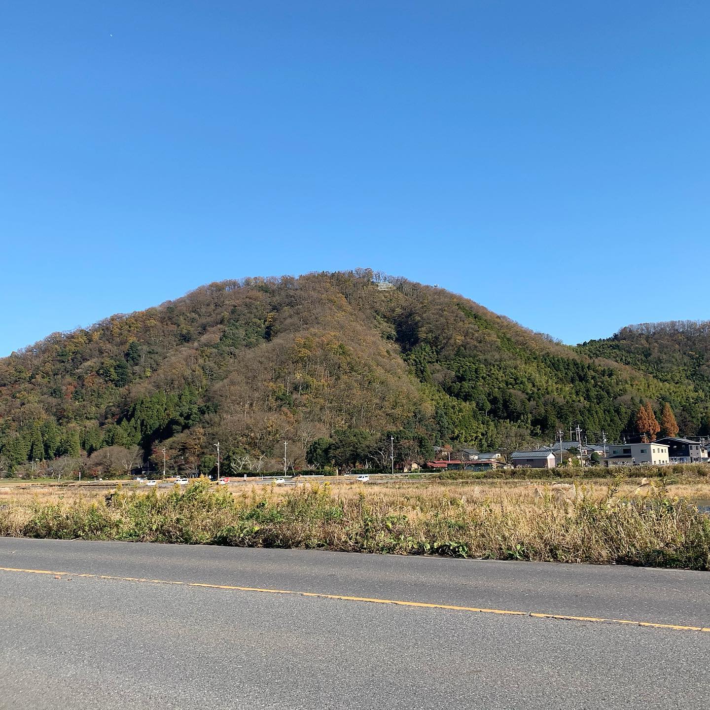 今日の村国山。昼食後、少しは歩かないと！と思って散歩に出た途端、仕事の電話で引き返し。