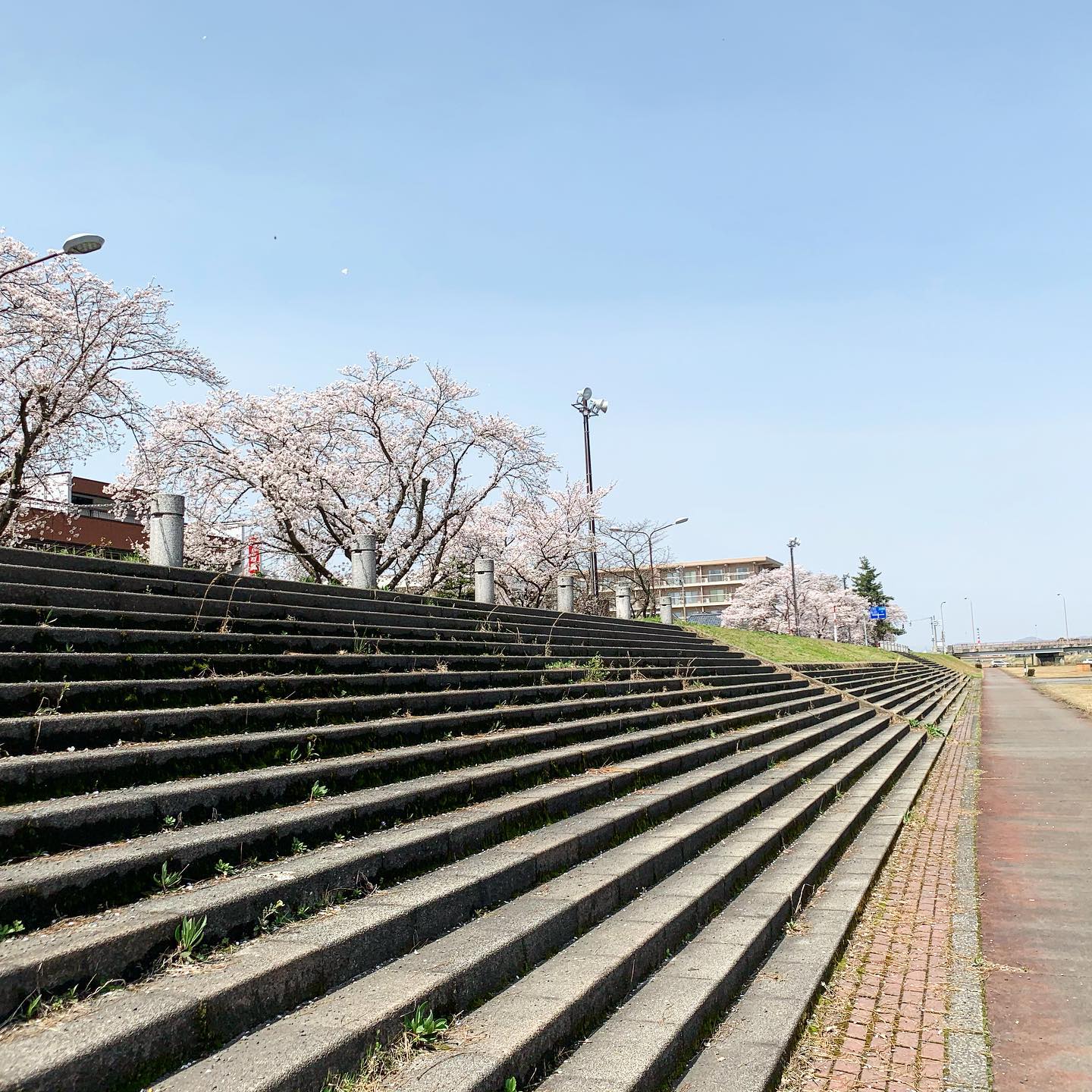 お昼の定番も今は特別感