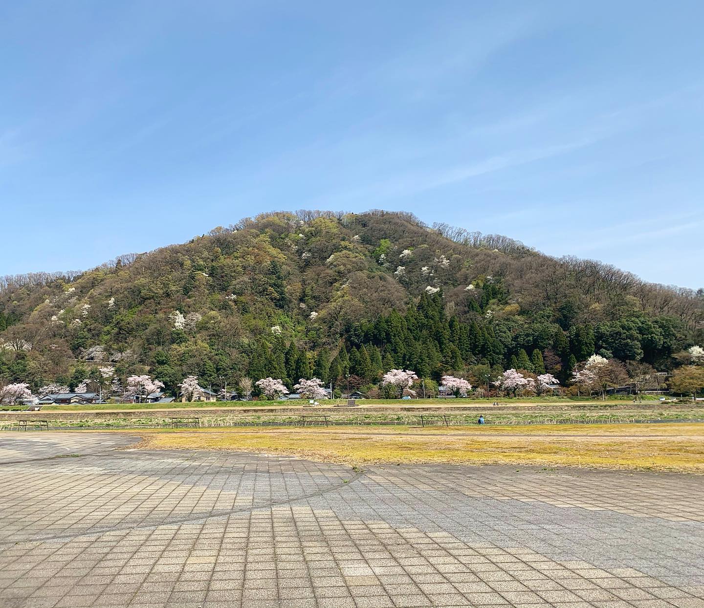 本日の村国山。