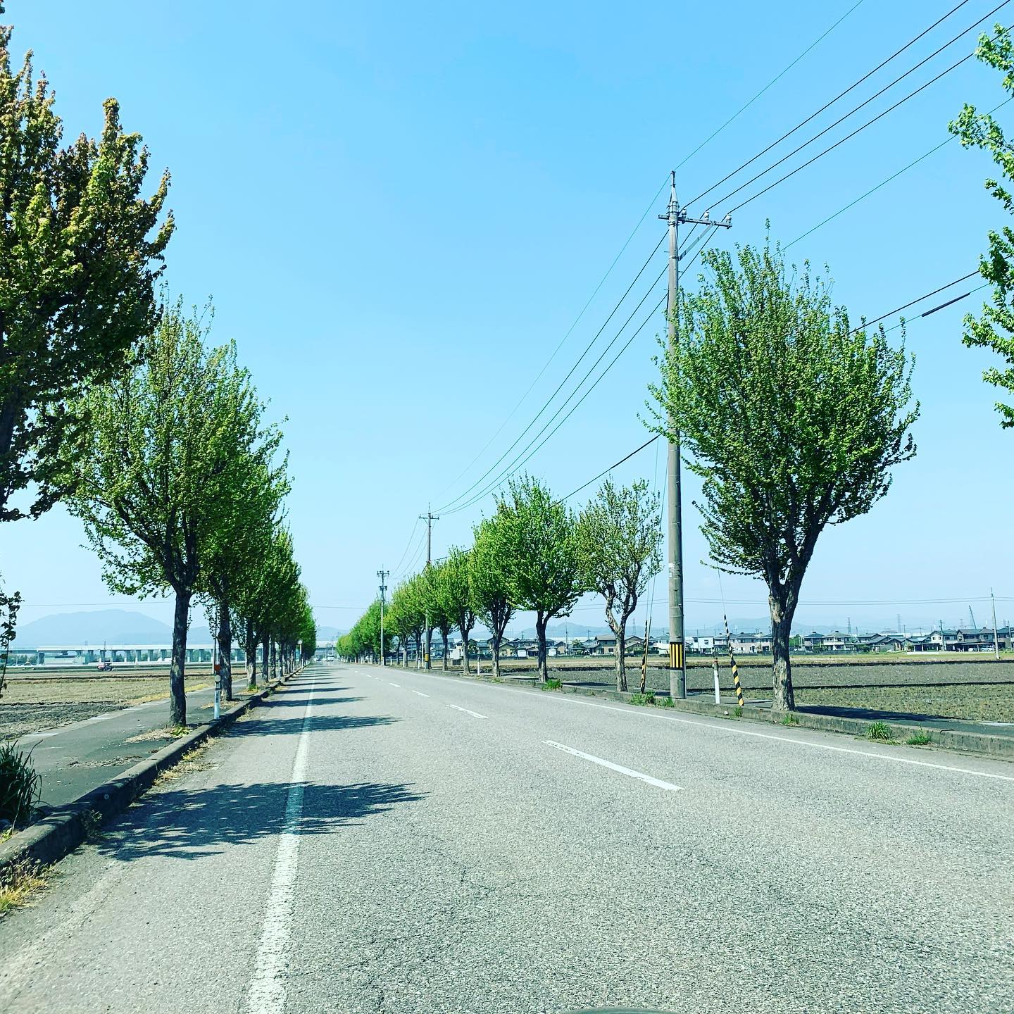 朝一の打ち合わせ終わり。ほんとなら、とてもいい季節。去年の今頃はオンラインのみの活動だったなぁ。今は半々くらい。やっぱり直接お会いできるのがいいね。