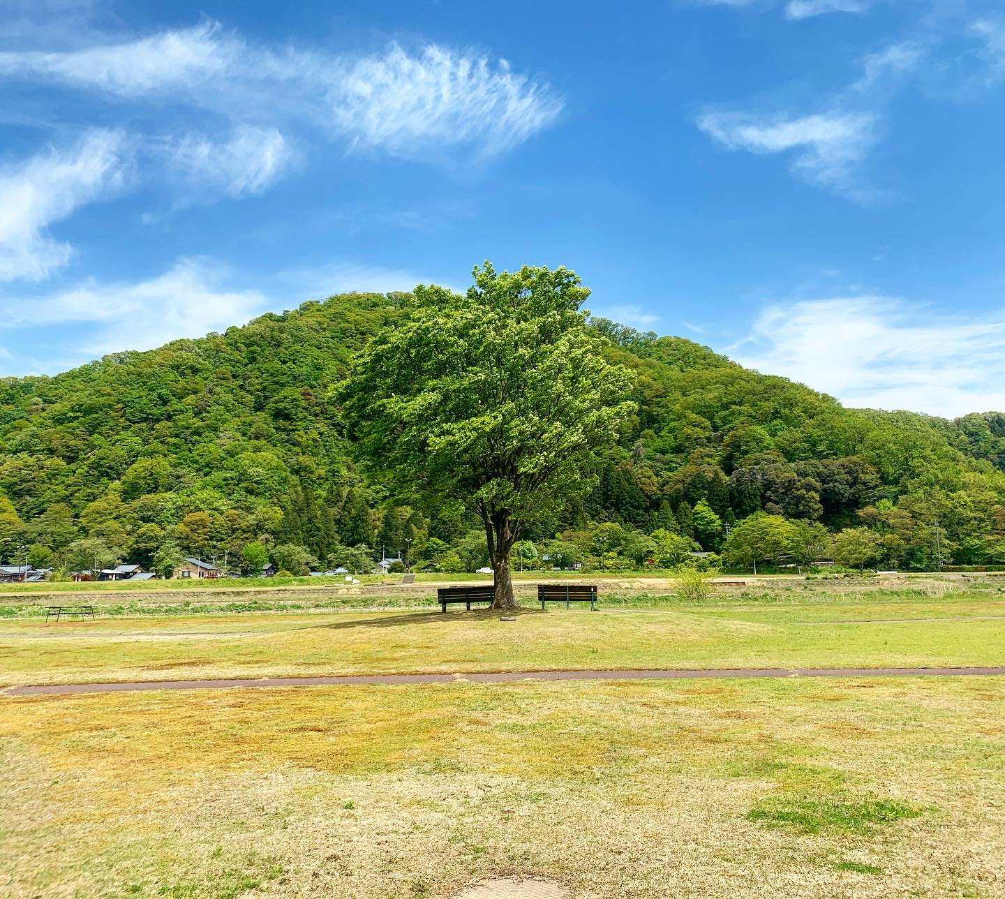 今日の村国山。気持ちいい風。明日からはお天気下り坂だそう。