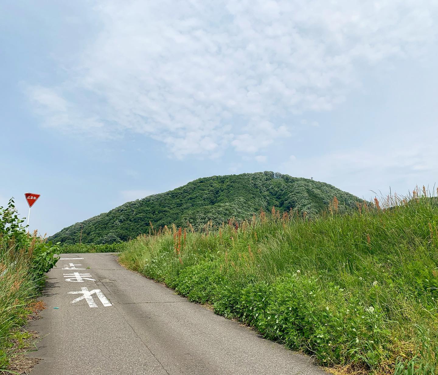 今日の村国山。違う角度から。10分くらい散歩してもいいよね。