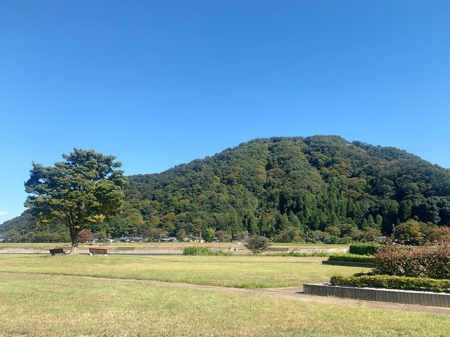 良いお天気過ぎて、お昼休みにちょっと散歩に出たけど、すぐに息切れ。東京では大丈夫だったのになぁ。でも、青空の下、深呼吸できて、気持ち良く午後もお仕事頑張れました️