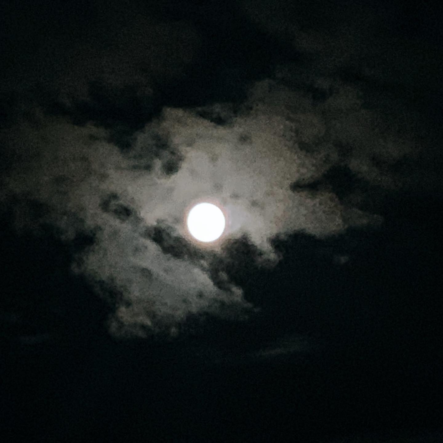 お月さまに会いたくて、ちょっとだけお散歩。雨上がりなのに、顔を見せてくれたお月さま。明日は中秋の名月、さらに美しい姿を見せてくれるのかな。眺めているだけで、心が落ち着く。今夜もありがとう。