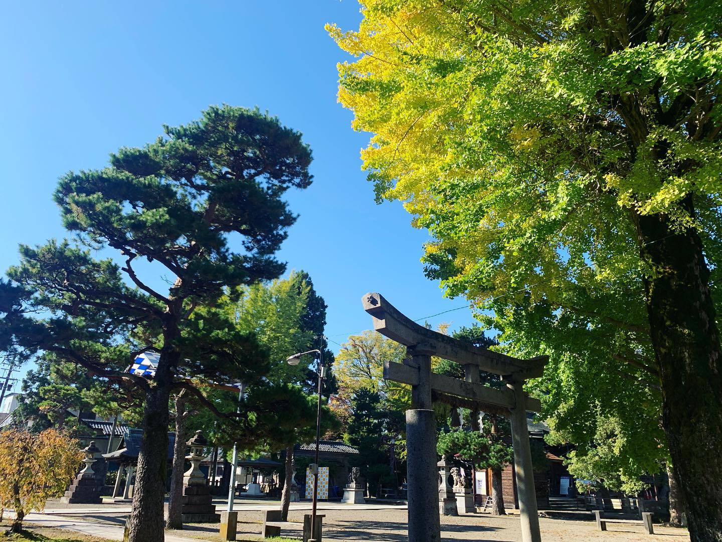 祈るしかないときには参拝するしかない。ほんとは普段から参拝しないと