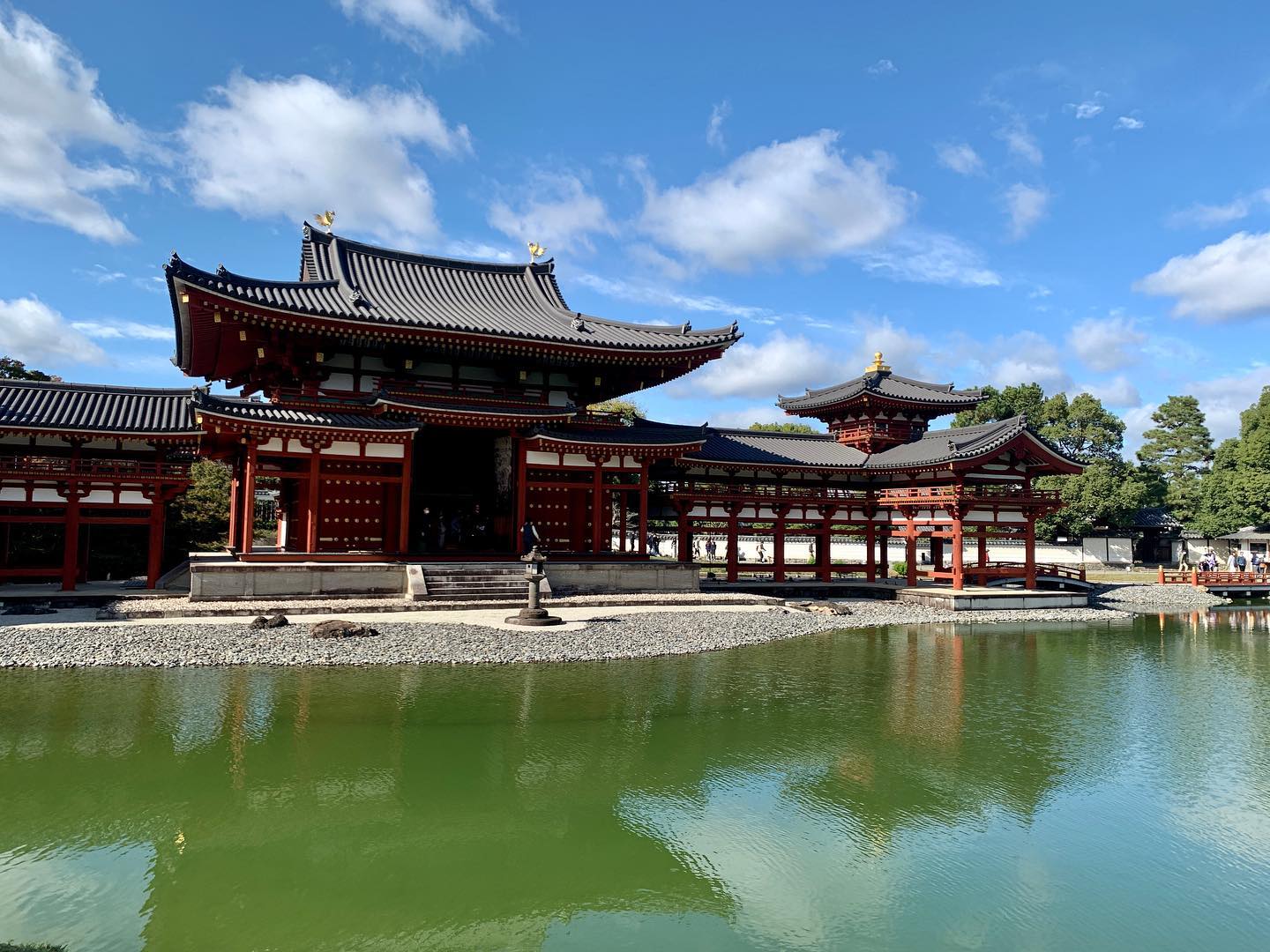 平等院鳳凰堂と宇治上神社、世界遺産を歩いてきました。夫の会社のバスハイクに初参加という、集団行動超苦手な私にとって、ハイリスクすぎる旅。出発前日から、極度のプレッシャーで、既に体調崩しつつもなんとかやりとげ、ホッとしています。頑張りました笑